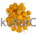 Fresh Pepper (Yellow) - image 7 | Malaika afro international Markt | KulturCart