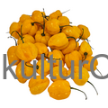 Fresh Pepper (Yellow) - image 8 | Malaika afro international Markt | KulturCart
