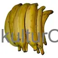 Fresh Plantain - image 1 | Momjays Afro Markt
