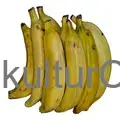 Fresh Plantain (Yellow) - image 3 | Momjays Afro Markt | KulturCart