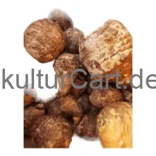 Fresh produce taro arbi - image 1 | OMOWEST AFRO INTERCONTINENTAL SHOP | KulturCart