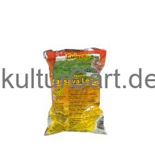 Pondu Saka Saka | Cassava Leaves| Maniokblatter 500g - image 3 | Omowest Afro Intercontinental Shop | KulturCart