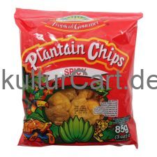 Tropical Gourmet Plantain Chips Spicy (85g) - image 1 | Afro Family Shop | KulturCart