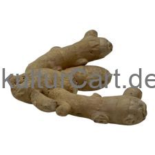 Ginger - image 1 | Afro Center & Afro Cut Krefeld | KulturCart