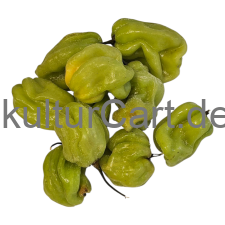 Fresh Pepper (Green) - image 1 | Malaika afro international Markt | KulturCart