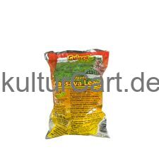 Pondu Saka Saka | Cassava Leaves| Maniokblatter 500g - image 3 | Omowest Afro Intercontinental Shop | KulturCart