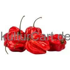 Fresh Pepper (Habanero Rot) - image 1 | OMOWEST AFRO INTERCONTINENTAL SHOP | KulturCart
