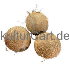 FRESH COCONUT - image 1 | Omowest Afro Intercontinental Shop