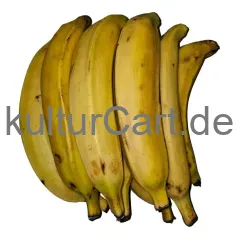 Fresh Plantain (Yellow) - image 2 | Momjays Afro Markt | KulturCart