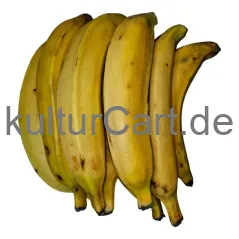 Fresh Plantain (Yellow) - image 1 | Momjays Afro Markt | KulturCart
