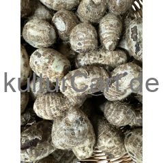 Coco Yam - image 1 | Omowest Afro Intercontinental Shop | KulturCart