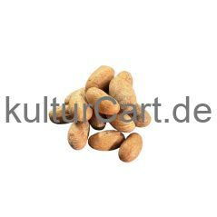 Bitter kola - image 2 | Omowest Afro Intercontinental Shop | KulturCart