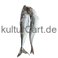 Horse Mackerel fish (3pcs) - image 1 | Omowest Afro Intercontinental Shop | KulturCart