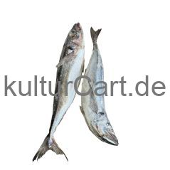 Horse Mackerel fish (3pcs) - image 2 | Omowest Afro Intercontinental Shop | KulturCart
