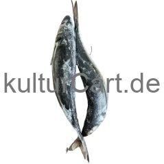 Horse Mackerel fish (2pcs) - image 3 | Omowest Afro Intercontinental Shop | KulturCart
