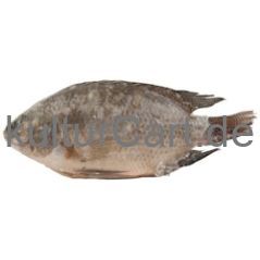 Tilapia - image 1 | Omowest Afro Intercontinental Shop | KulturCart