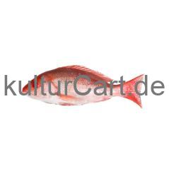 Red Snapper 500-700 - image 1 | Omowest Afro Intercontinental Shop | KulturCart