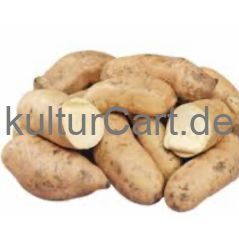 White Uganda Sweet Potato - image 1 | Omowest Afro Intercontinental Shop | KulturCart