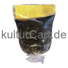 Bigi-mama Matembele (Sweet Potato Leaves) (500g) - image 3 | Malaika afro international Markt | KulturCart