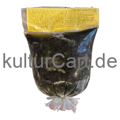 Bigi-mama Matembele (Sweet Potato Leaves) (500g) - image 4 | Malaika afro international Markt | KulturCart