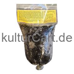 Bigi-mama Ndole (Bitterleaf) (500g) - image 3 | Malaika afro international Markt | KulturCart