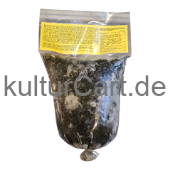 Bigi-mama Ndole (Bitterleaf) (500g) - image 4 | Malaika afro international Markt | KulturCart