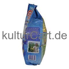 Nestle Golden Morn (900g) - image 2 | Afro Family Shop | KulturCart