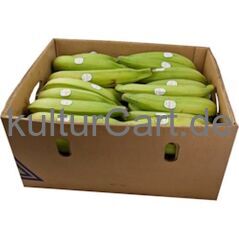 Fresh Plantain - Green - image 1 | Omowest Afro Intercontinental Shop | KulturCart
