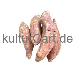 Sweet Potato (Fresh produce) - image 4 | Omowest Afro Intercontinental Shop | KulturCart