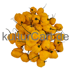 Fresh Pepper (Yellow) - image 3 | Malaika afro international Markt | KulturCart