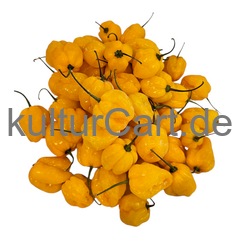 Fresh Pepper (Yellow) - image 4 | Malaika afro international Markt | KulturCart