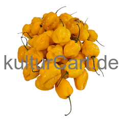 Fresh Pepper (Yellow) - image 5 | Malaika afro international Markt | KulturCart