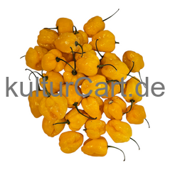 Fresh Pepper (Yellow) - image 6 | Malaika afro international Markt | KulturCart