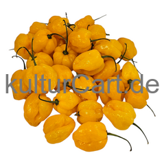 Fresh Pepper (Yellow) - image 8 | Malaika afro international Markt | KulturCart