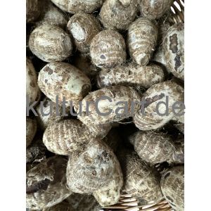 Coco Yam - image 1 | Omowest Afro Intercontinental Shop | KulturCart