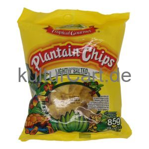 Tropical Gourmet Plantain Chips Lightly Salted (85g) - image 1 | Afro Family Shop