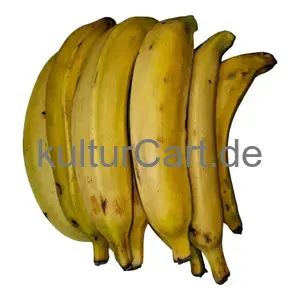Fresh Plantain - image 1 | Momjays Afro Markt