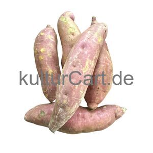 Fresh produce sweet potato - image 3 | Omowest Afro Intercontinental Shop