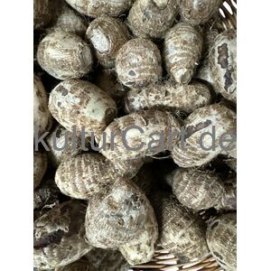 Cocoyam - image 1 | Omowest Afro Intercontinental Shop