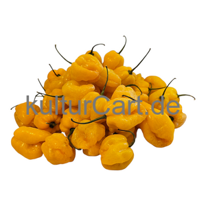 Yellow Pepper - image 2 | Malaika afro international Markt