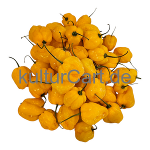 Yellow Pepper - image 4 | Malaika afro international Markt