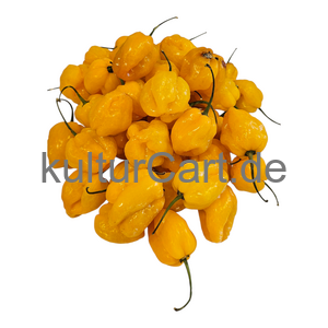 Yellow Pepper - image 5 | Malaika afro international Markt