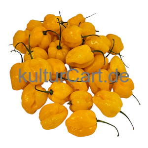 Yellow Pepper - image 8 | Malaika afro international Markt