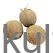 FRESH COCONUT - image 1 | Omowest Afro Intercontinental Shop | KulturCart