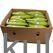 Fresh Plantain - Green - image 1 | Omowest Afro Intercontinental Shop | KulturCart