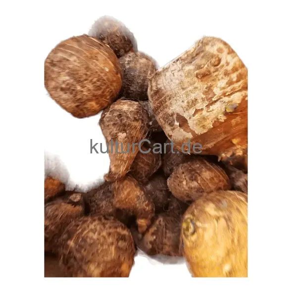 Fresh produce taro arbi - image 1 | OMOWEST AFRO INTERCONTINENTAL SHOP | KulturCart