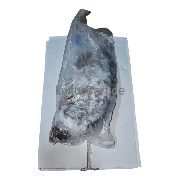 Tilapia (Black) - carton (4kg) - image 1 | Momjays Afro Markt | KulturCart