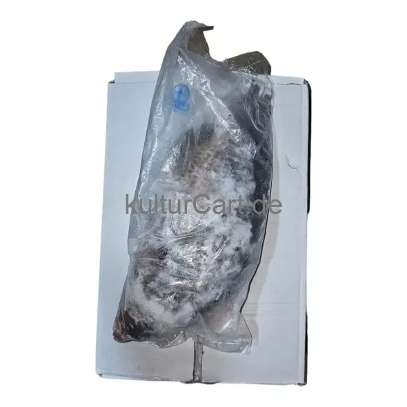 Tilapia (Black) - carton (4kg) - image 5 | Momjays Afro Markt | KulturCart
