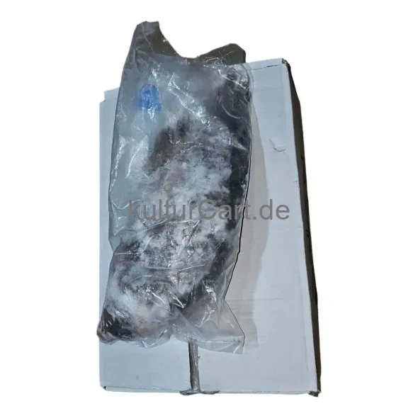 Tilapia (Black) - carton (4kg) - image 6 | Momjays Afro Markt | KulturCart