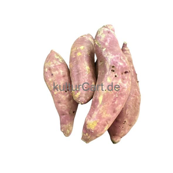 Sweet Potato (Fresh produce) - image 4 | Omowest Afro Intercontinental Shop | KulturCart